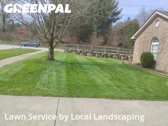 Lawn Cut nearby Lewis Center, OH, 