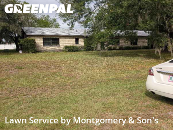 Yard Cutting nearby Mulberry, FL, 