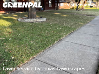 Affordable Landscaping In Frisco,75035,Landscape Design by Texas Lawnscapes, work completed in Nov , 2025