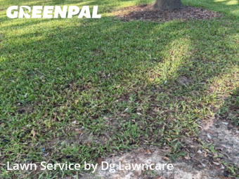 Lawn Cut nearby Longview, TX, 