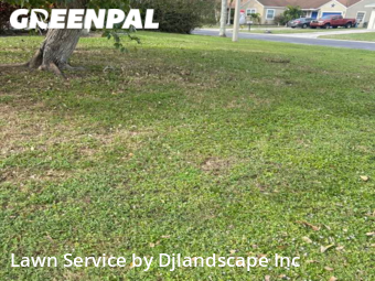 Lawn Cut nearby Boynton Beach, FL, 