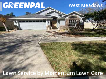 Grass Cut nearby Tampa, FL, 