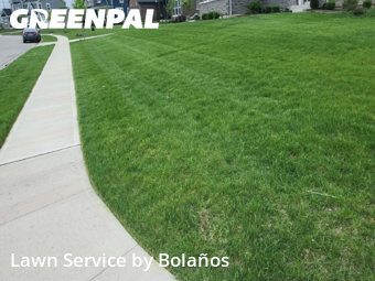 Lawn Cut nearby Delaware, OH, 