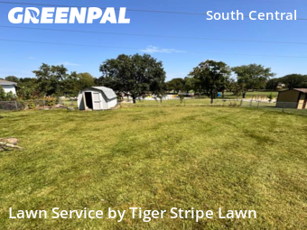 Lawn Cut nearby Omaha, NE, 