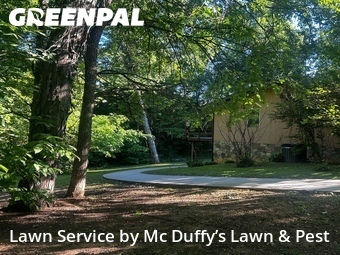 Lawn Mowing Service nearby Newport, TN, 