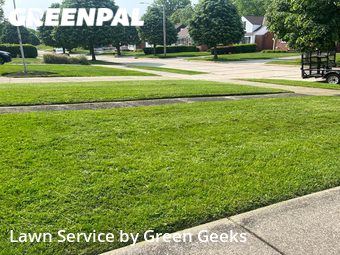 Grass Cutting nearby South Euclid, OH, 