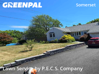 Grass Cut nearby Franklin Township, NJ, 