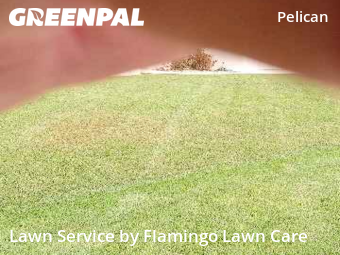 Commercial Landscaping In Cape Coral,33914,Landscape Design by Flamingo Lawn Care, work completed in Dec , 2025