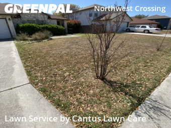 Lawn Maintenance nearby San Antonio, TX, 