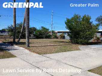 Grass Cut nearby Tampa, FL, 