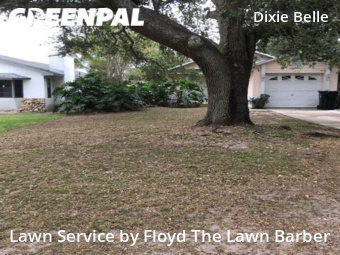 Grass Cut nearby Orlando, FL, 