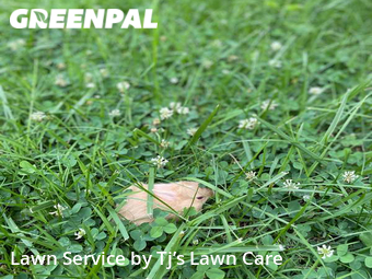 Grass Cut nearby Florissant, MO, 