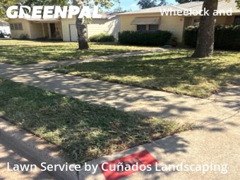 Weed Trimming in Lubbock, 79413, Grass Services by Cuñados Landscaping, work completed in Nov , 2025