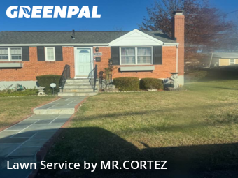 Grass Cut nearby Silver Spring, MD, 