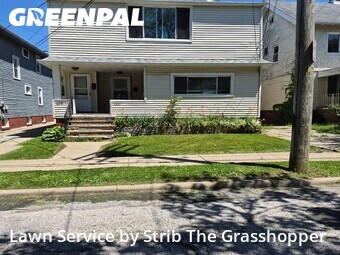 Yard Cutting nearby Lakewood, OH, 