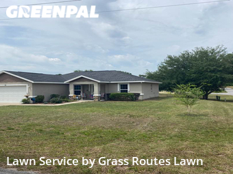 Lawn Mow nearby Ocala, FL, 