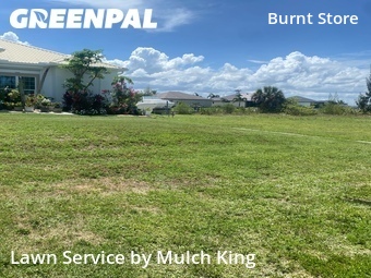 Lawn Cutting nearby Cape Coral, FL, 