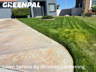 Yard Mowing nearby Palmdale, CA, 