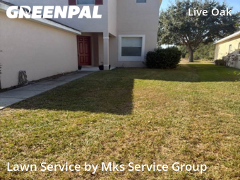 Landscapers In Tampa,33647,Landscape Design by Mks Service Group, work completed in Dec , 2025