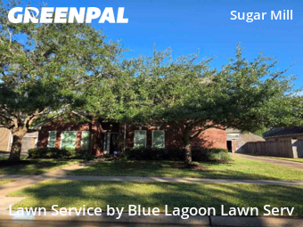 Lawn Cuttingin Sugar Land,77498,Lawn Care by Blue Lagoon Lawn Serv, work completed in Dec , 2025
