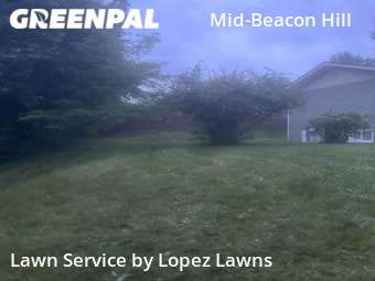 Lawn Mow nearby Seattle, WA, 