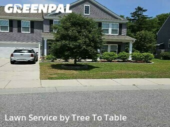 Grass Cut nearby Charleston, SC, 