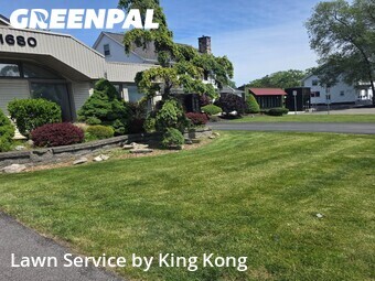 Lawn Care nearby Rochester, NY, 