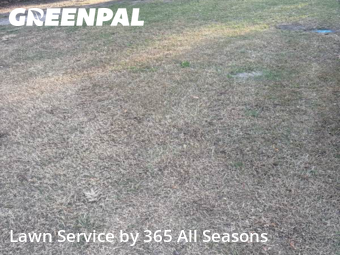 Lawn Cutting nearby Augusta, GA, 