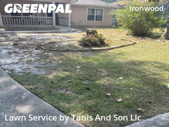 Lawn Cut nearby Gainesville, FL, 