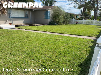 Grass Cutting nearby Daytona Beach, FL, 