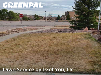 Lawn Care nearby Colorado Springs, CO, 