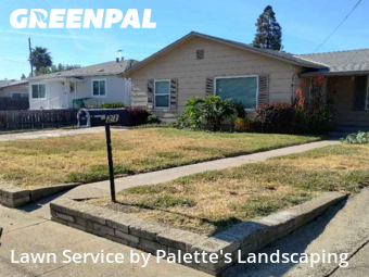 affordable-grass-cutting-businesses-in-Yuba City-CA