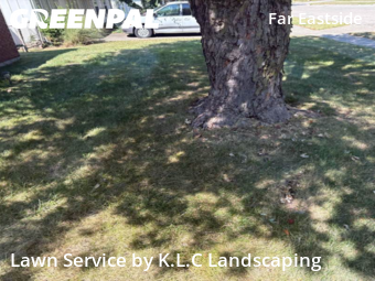 Yard Cutting nearby Indianapolis, IN, 