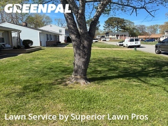 Lawn Care Service nearby Virginia Beach, VA, 