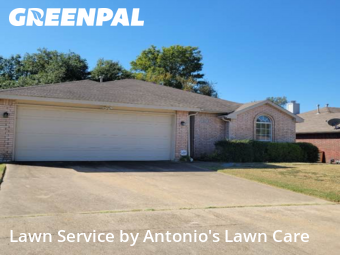 Lawn Management in Cedar Hill, 75104, Mowing Services by Antonio's Lawn Care, work completed in Nov , 2025