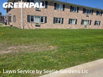 Lawn Cut nearby Belgium, WI, 