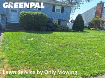 Yard Cutting nearby Latham, NY, 