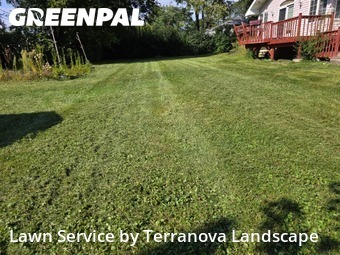 Lawn Work in Darien, 60561, Yard Upkeep by Terranova Landscape, work completed in Nov , 2025