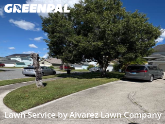 Lawn Work in Lake Mary, 32746, Yard Grooming by Alvarez Lawn Company, work completed in Nov , 2025