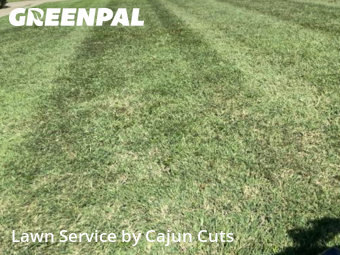 Lawn Cut nearby Murfreesboro, TN, 