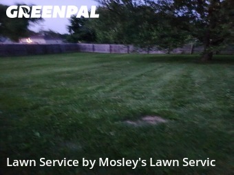 Lawn Mow nearby Clarksville, TN, 
