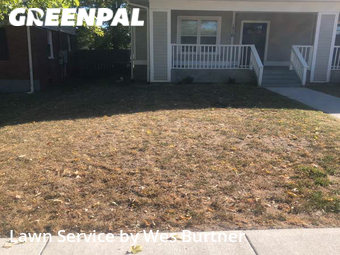 Lawn Maintenance nearby Nashville, TN, 