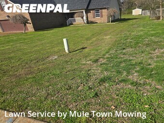 Yard Cutting nearby Spring Hill, TN, 