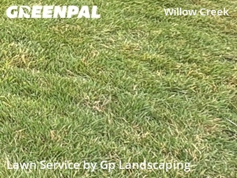 Grass Cuttingin Gastonia,28054,Yard Mowing by Gp Landscaping, work completed in Jul , 2026