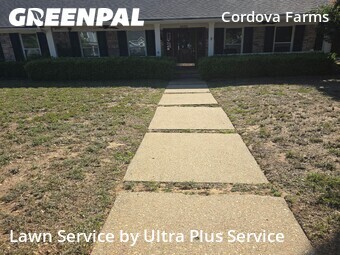 Grass Cutting nearby Pensacola, FL, 