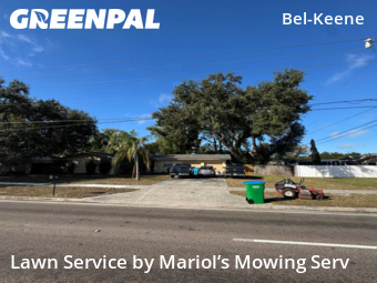 Grass Cut nearby Clearwater, FL, 