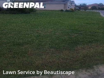 Lawn Cutting nearby Belleview, FL, 