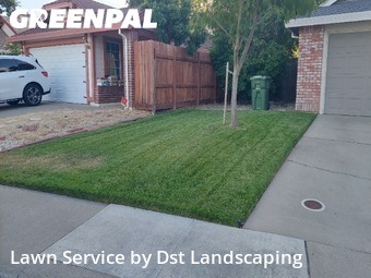 Work completed by cheap-lawn-cutting-businesses-in-Elk Grove-CA