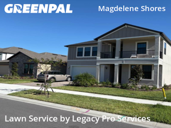 Grass Cutting nearby Land O'lakes, FL, 