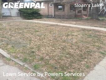 Lawn Mow nearby Denver, CO, 